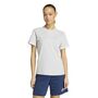 adidas Entrada 26 Tee W - tmlggr/white