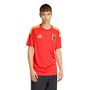 adidas Rbfa H Jsy Fan - red/bogold