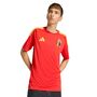 adidas Rbfa H Jsy Fan - red/bogold