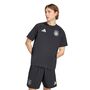 adidas Dfb Tt Tee - black