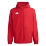 adidas Entrada 26 Aw Jacke - tepore/white