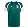 adidas Figc Tr Jsy - cgreen