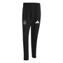 adidas Dfb Tt Pnt - black