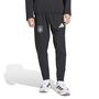 adidas Dfb Tt Pnt - black