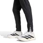 adidas Dfb Tt Pnt - black