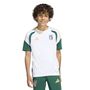 adidas Figc Tr Jsyy - white