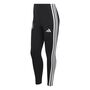 adidas Dfb Wmn Leg - black