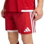 adidas Tiro26 C M Shom - tepore/white
