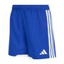 adidas Tiro26 C M Show - royblu/white