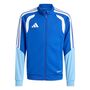 adidas Tiro26C Tr Jkty - royblu