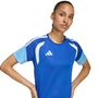 adidas Tiro26C Jsyw - royblu