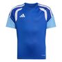 adidas Tiro26C Jsyy - royblu