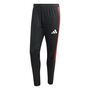 adidas Tiro26C Pnt - black/selure
