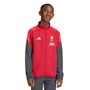 adidas Lfc Pre Jacke Y Kinder - strred