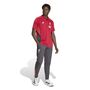 adidas Lfc Polo - strred