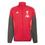adidas Lfc Pre Jacke - strred