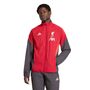 adidas Lfc Pre Jacke - strred