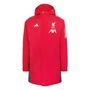 adidas Lfc Parka - strred