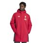 adidas Lfc Parka - strred