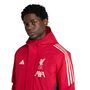 adidas Lfc Parka - strred