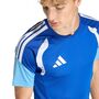 adidas Tiro26C Jsy - royblu