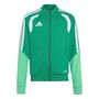adidas Tiro26C Tr Jkty - teagrn
