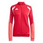 adidas Tiro26C Tr Jktw - tepore