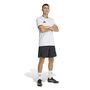 adidas Entrada 26 Gfx Jsy - white/black