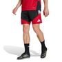 adidas Dfb Tr Jsy - tepore