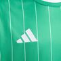 adidas Ent26 Gfx Jsy Y - teagrn/white