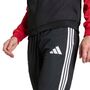 adidas Dfb Pre Pnt - black