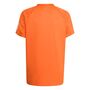 adidas B Club 3Str Tee - puor
