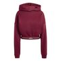 adidas Q1 Hyg Hoodie - maroon