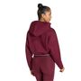 adidas Q1 Hyg Hoodie - maroon