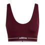 adidas Q1 Hyg Ls Bra - maroon