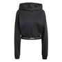 adidas Q1 Hyg Hoodie - black