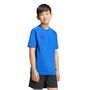adidas Tt Tee Y Kinder - royblu/black
