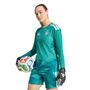 adidas Dfb H Gk Jsy Aw - actgrn