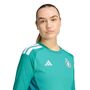 adidas Dfb H Gk Jsy Aw - actgrn