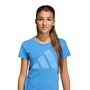 adidas Jg Bl Win Tee - rayblu/white