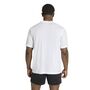 adidas We Fr Bl T - white