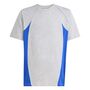 adidas J  Cb T - mgreyh/royblu/globlu