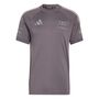 adidas Au Dr Jsy Ss Rm - grestr/ironmt