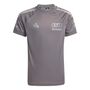 adidas Au Dr Jsy Ss Rm - grestr/ironmt