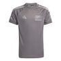 adidas Au Dr Jsy Ss Rm - grestr/ironmt