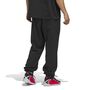 adidas Anted Foun Pant - black