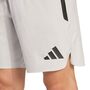 adidas Tt Shorts - tmlggr/black