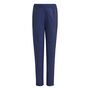 adidas Tt  W Pant Y Kinder - tenabl/black