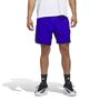 adidas Anted Cl Short - eqtgrn