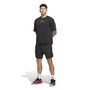 adidas Anted Cl Short - black/aurbla